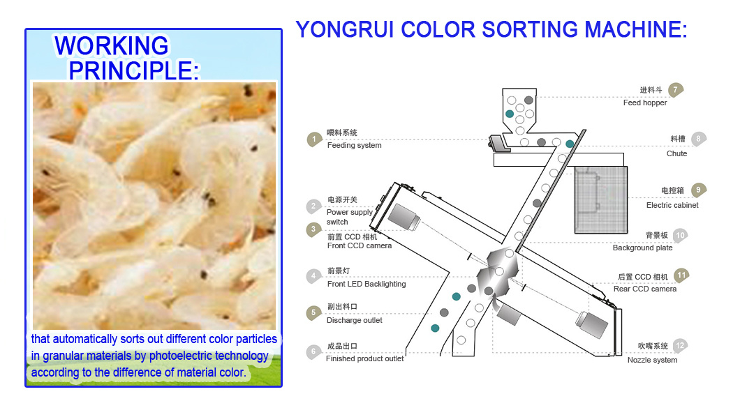 Small Multifunction Dried Seafood Color Sorter