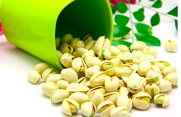 High Quality Raw Pistachio with Shell