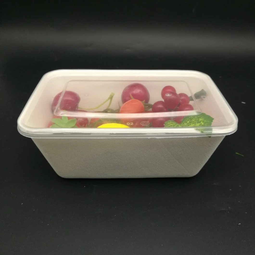 Fully Biodegradable Disposable Plastic Food Container Compostable Sugarcane Plant Fiber Take-Away Food Containers