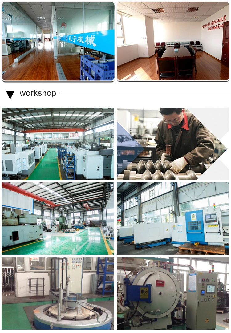Co-Rotating Twin Screw Extruder Screw & Barrel From China