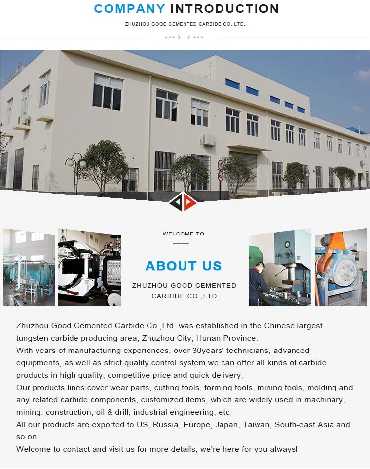 China Golder Supplier Customized Precision Extrusion Dies
