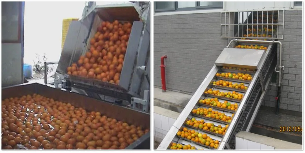 Fruit Orange Juice Production Line in China/Orange Oil Production Line/Fruit Drinking Juice Production Line