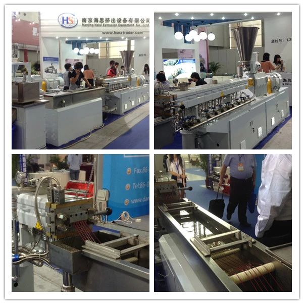Europe Quality Laboratory Tse-30A Plastic Parallel Co-Rotating Double Screw Extruder