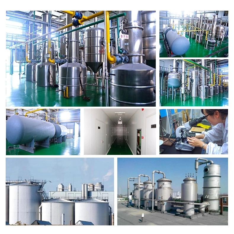 Factory Price Basic Zinc Carbonate 57% Manufacturer/Zinc Carbonate Hydroxide