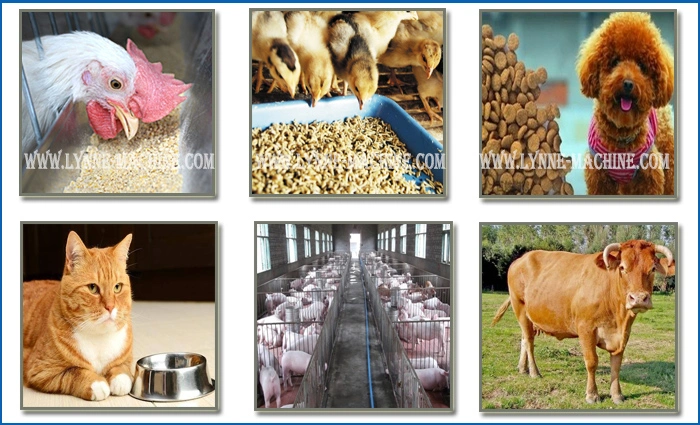 China Supplier Poultry Chicken/Pig/Cattle Farm Pellet Feed Pelletizing Equipment Price