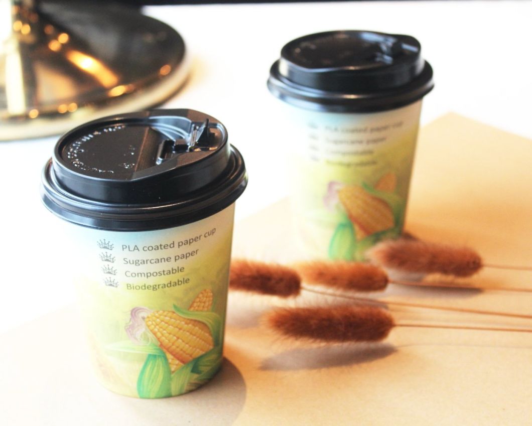 Factory Price Bio-Degradable Compostable PLA Plastic Cups with Lids