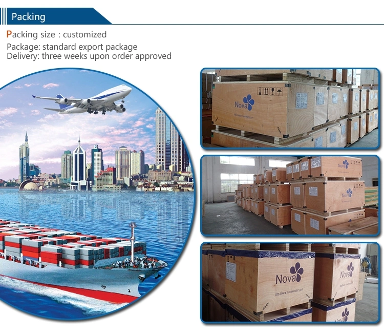 2m/S 800kg Co Machine Roomless Hotel/Office Passenger Elevator with Deceleration Device