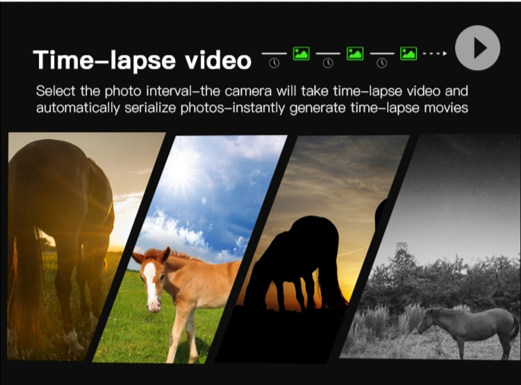 Dual Camera Wild Angle Lens Time-Lapse Video Wildlife Trail Camera
