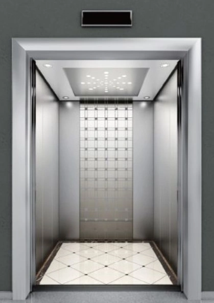 Gearless Machine Mr Mrl Passenger Observation Home Elevator with Ard Device