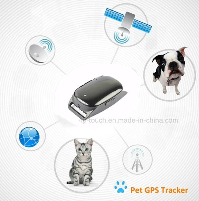 Waterproof IP66 Pet GPS Tracker with Real-Time Monitoring&Geo-Fence