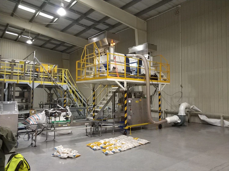 Vision Based Bulk Counting Bagging Machine