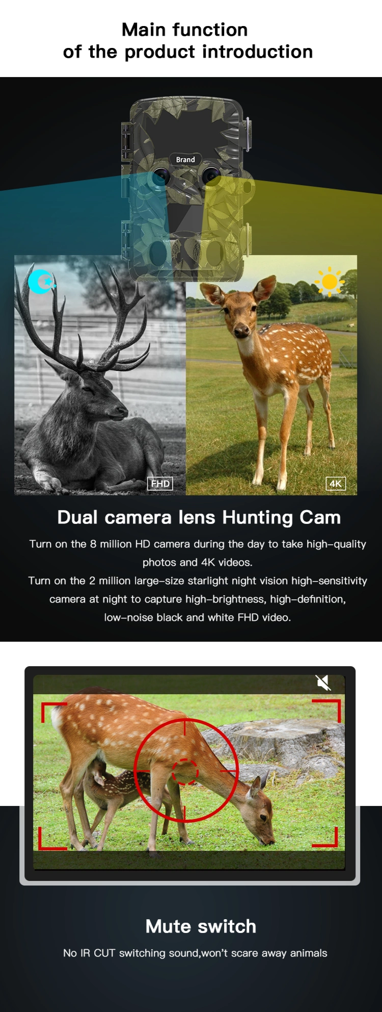 Dual Camera Wild Angle Lens Time-Lapse Video Wildlife Trail Camera