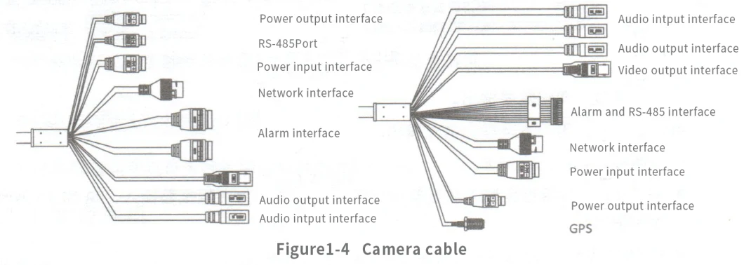 Wildlife Detection and Recognition System Based on Ai Camera, Animal Identification Intelligent Camera (AIIC) Monitoring Camera