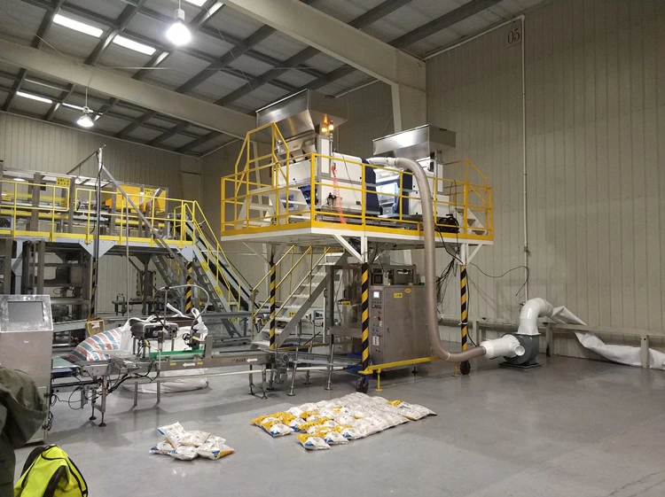 Vision Based Bulk Counting Packaging Machine