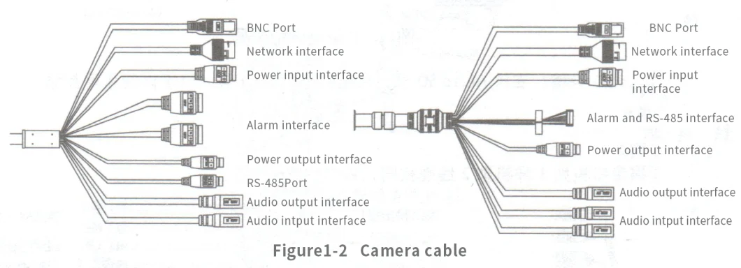 Wildlife Detection and Recognition System Based on Ai Camera, Animal Identification Intelligent Camera (AIIC) Monitoring Camera