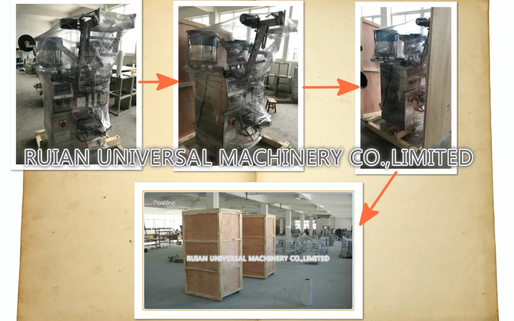 Full Automatic Hardware Cable Clips Counting Packaging Machine