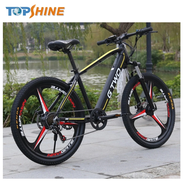 New Designed OEM ODM Available 350W GPS Electric Bike with Advanced Ebike Customer Management System