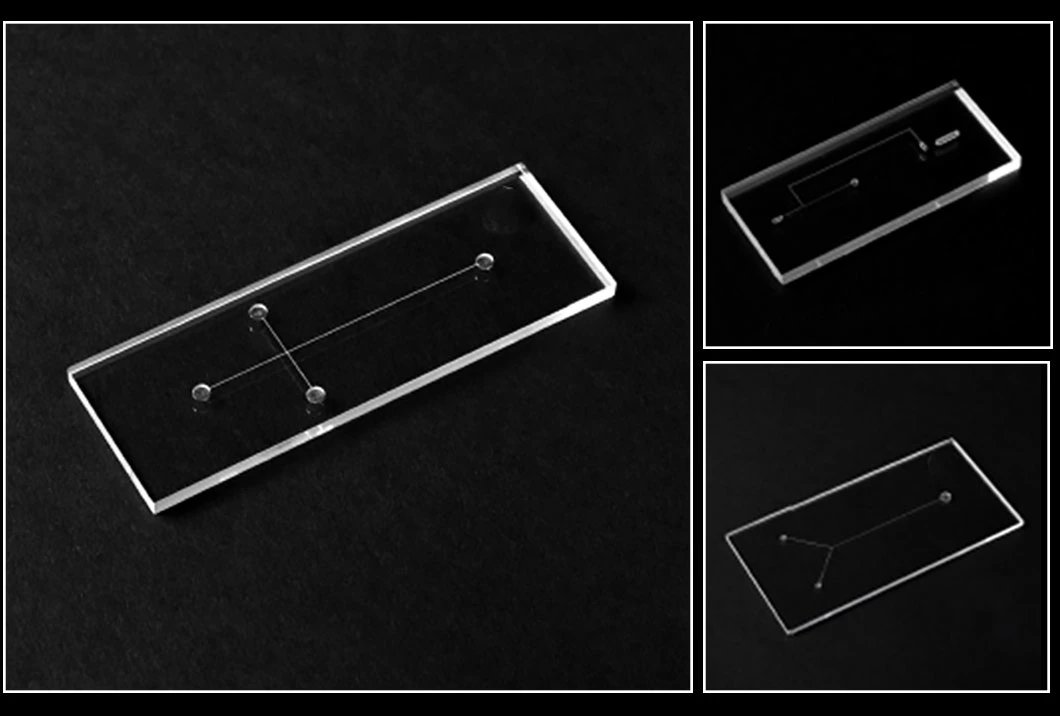 Pdms Material Microfluidic Chip Microfluidic Laboratory to Map Custom Processing Microfluidic Channel Experiment