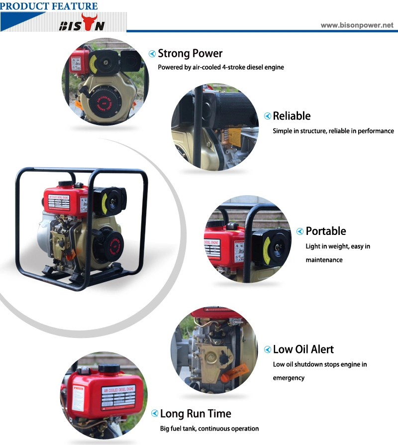 Bison (China) Bsdwp20 2inch Experienced Supplier Household Factory Price Peristaltic Pump Price