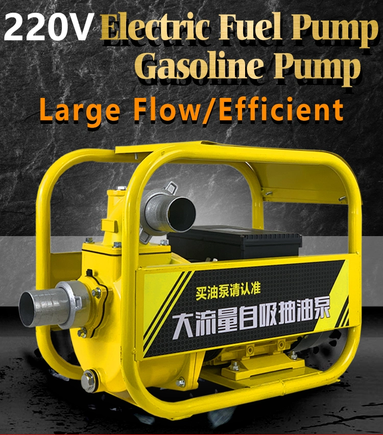 Electric Fuel Pump Large Flow 220V Oil Circulation Pump for Diesel