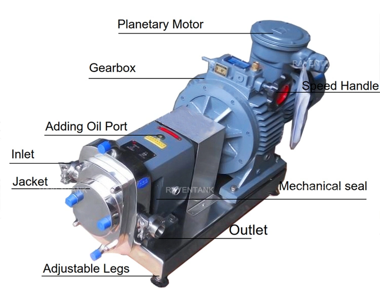 Stainless Steel Lobe Pump Hygienic Rotor Pump Food Grade Positive Displacement Pump for High Viscosity Liquid