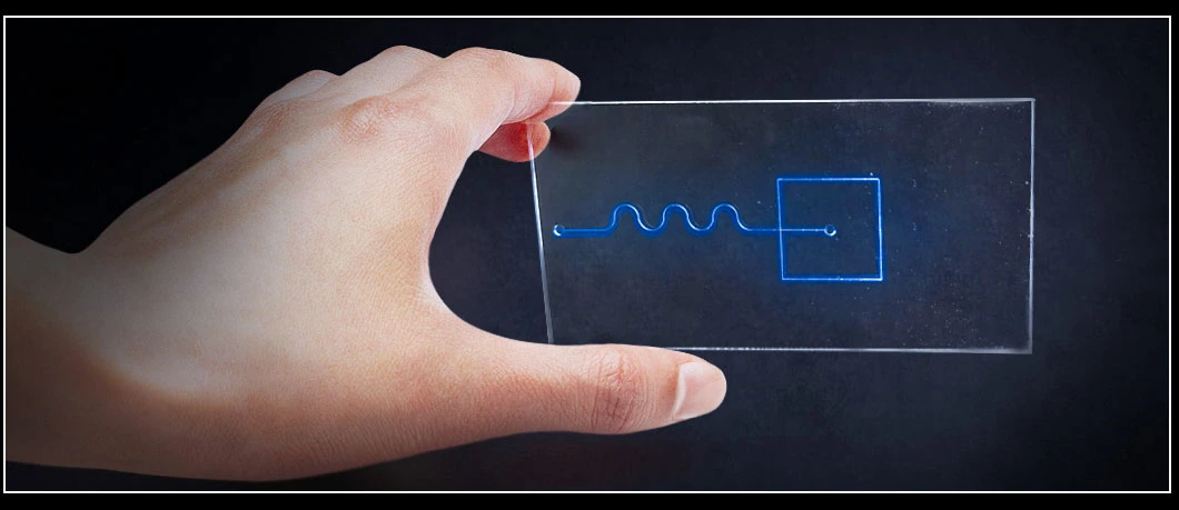 Pdms Material Microfluidic Chip Microfluidic Laboratory to Map Custom Processing Microfluidic Channel Experiment