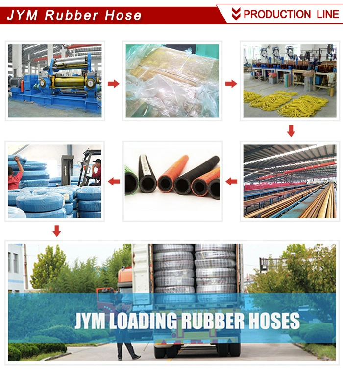 Chemical Resistant Peristaltic Pump Hose/Squeeze Pump Rubber Hose