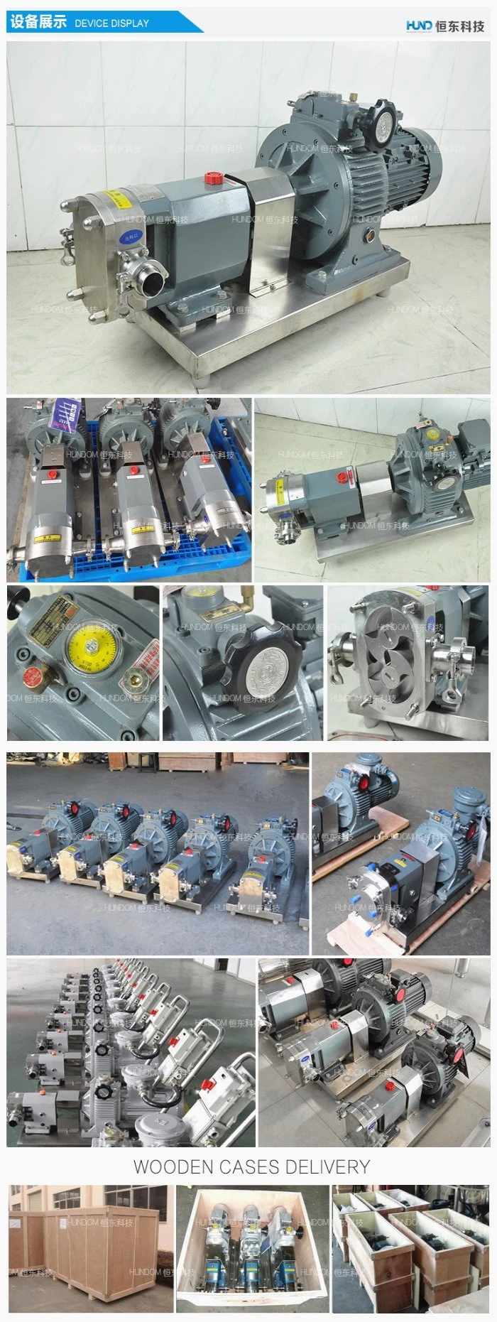 Stainless Steel Sanitary Rotary Lobe Pump Cam Rotor Pump Helical Rotor Pump Jam Honey Transfer Pump