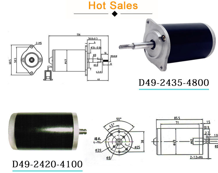 DC 12V 24V Permanent Magnet Electric Motor 4800 Rpm High Speed Micro DC Motor for Pump