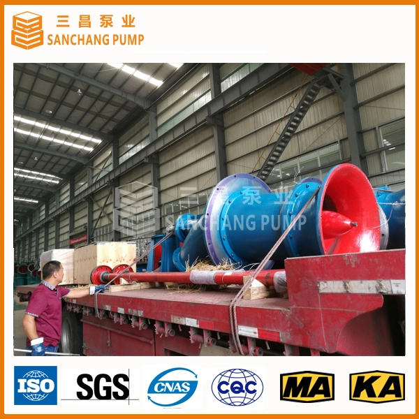 Axial Flow Pump/Axial Flow Propeller Pumps/Vertical Axial Flow Waste Water Drainage Pump