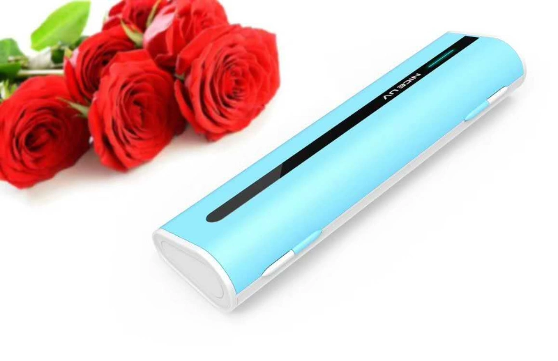Home Travel UV Sanitizer Toothbrush Box Sterilization Holder Cleaner Box