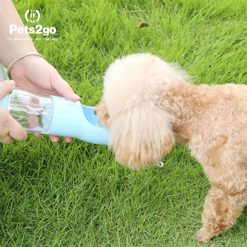 Pet Supplies Multi-Functional Pet Water Cup Portable Water Fountain Outside