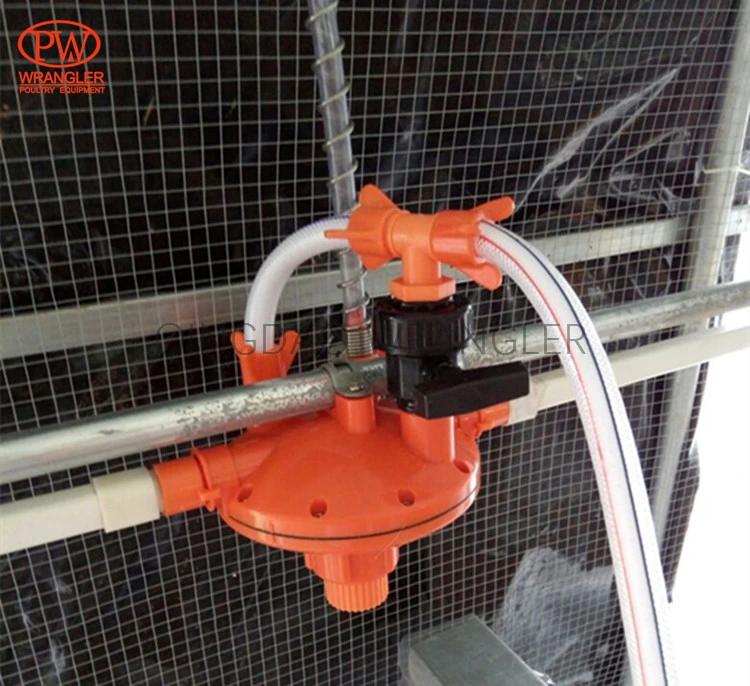 Poultry Watering System Easy Fill Chick Broiler Drinkers Automatic Water Feeder for Chickens