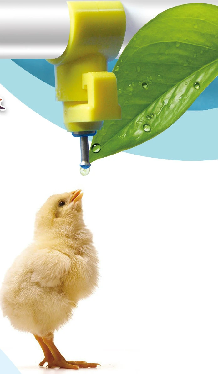 Ball Valve Automatic Poultry Nipple Drinker /Waterer for Chick