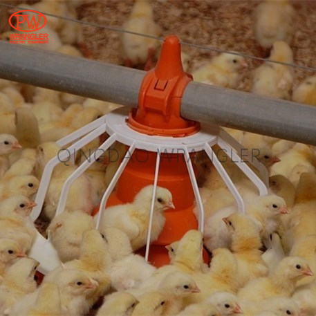 Automatic Poultry Feeder/ Feeding System/ Chicken Feeder