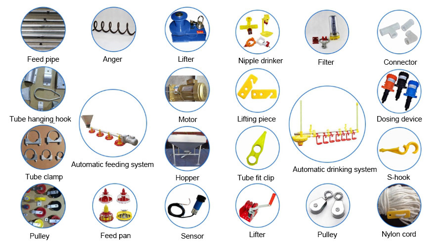 Poultry Farm Equipment Broiler Deep Litter System with Automatic Feeding Pan Line