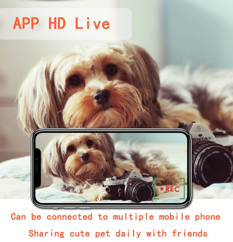Built-in Pet Camera Support Video Monitoring & Real-Time Interactive Smart Pet Feeder