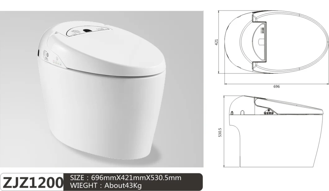 Ceramic Sanitary Ware Twyford Automatic Self-Cleaning Wc Smart Toilet