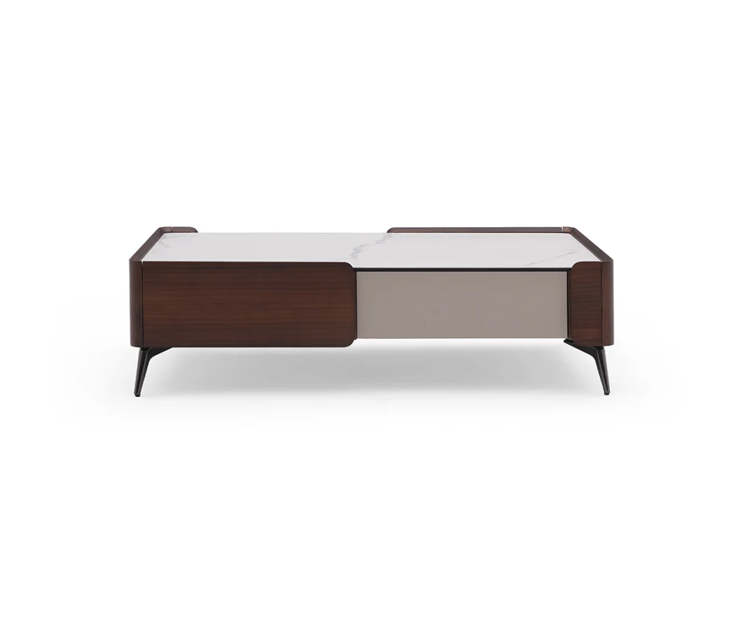 Modern Living Room Furniture Coffee Table with Veneer / Marble / Sintered Stone