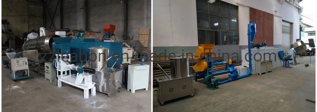 Leabon Dry Type Fish Feeds Machine Fish Feed Extruder Small Floating Fish Feed Machine