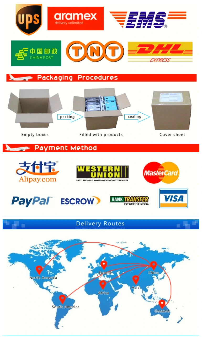 Logistics Service Send PVC Wall Paper Send to Disposable Food Box to Europe Italy USA England From China