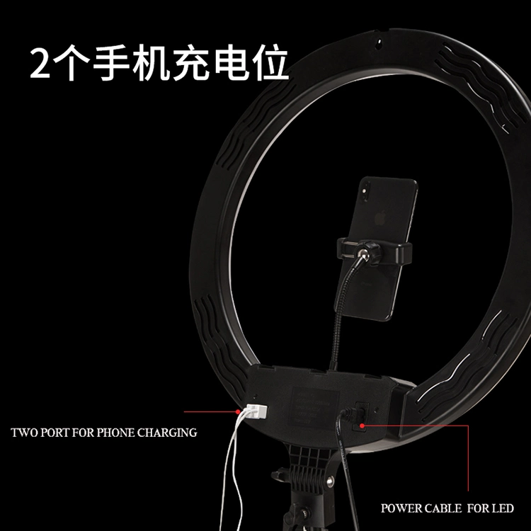 Wholesale LED Ring Photography Fill Light Photography Flash LED Ring Light with Tripod Stand