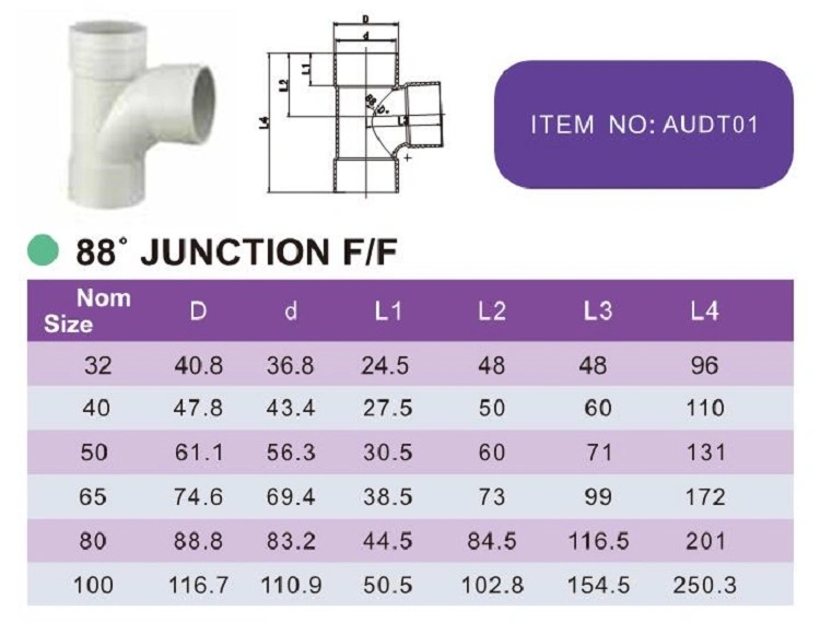 UPVC Dwv Fittings AS/NZS1260 Plumbing Fitting 88 Junction F/F Watermark