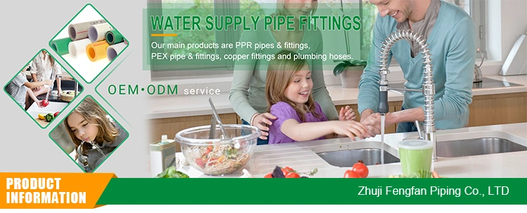 PPR Pipes and Fittings Manufacturer Plastic Pipe Fitting 20mm-63mm PPR Fitting High Quality Plastic Union PPR Union