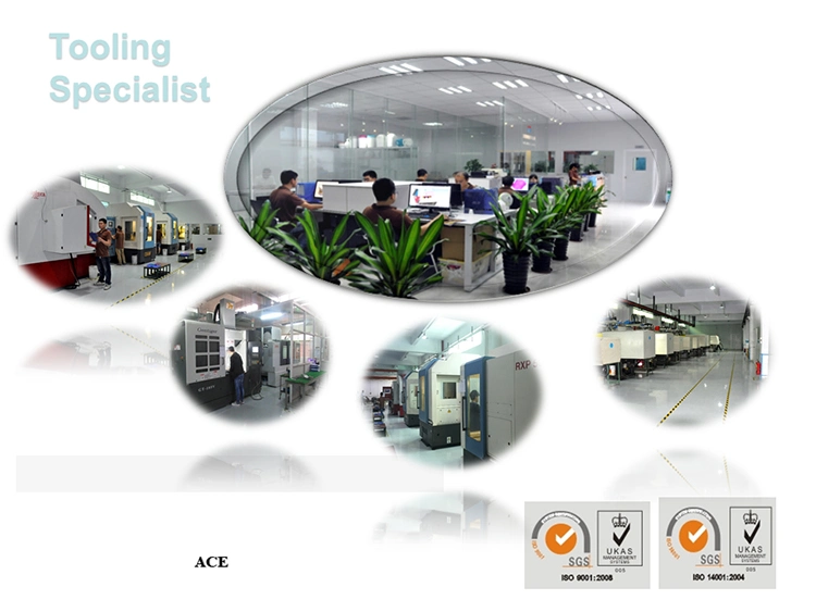 Dongguang Ace Factory Good Quality Injection Plastic Mould Maker Precision Mould Plastic Molding