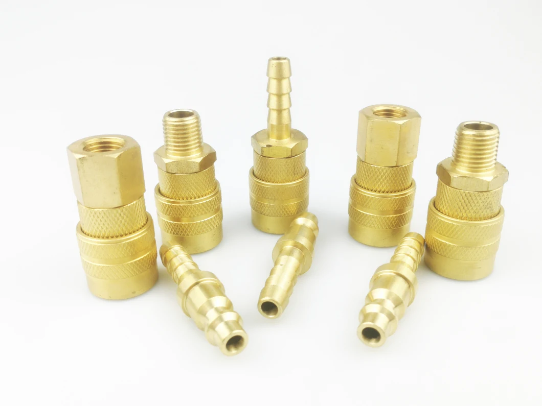 Brass Pipe Fitting Hasco Standard Mould Quick Coupling