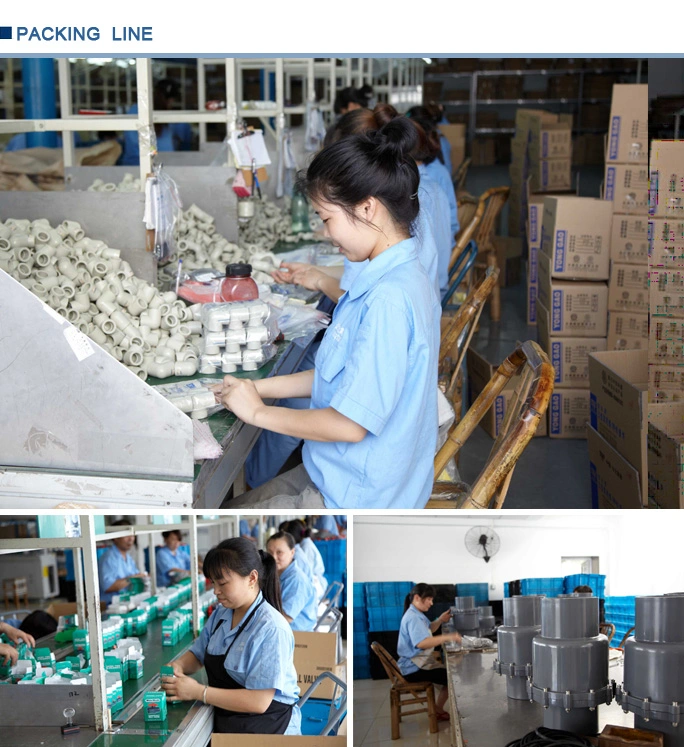 Era PPR Pipe Fitting PPR Pouble Female Thread Elbow with Plate Dvgw (DIN8077/8088)