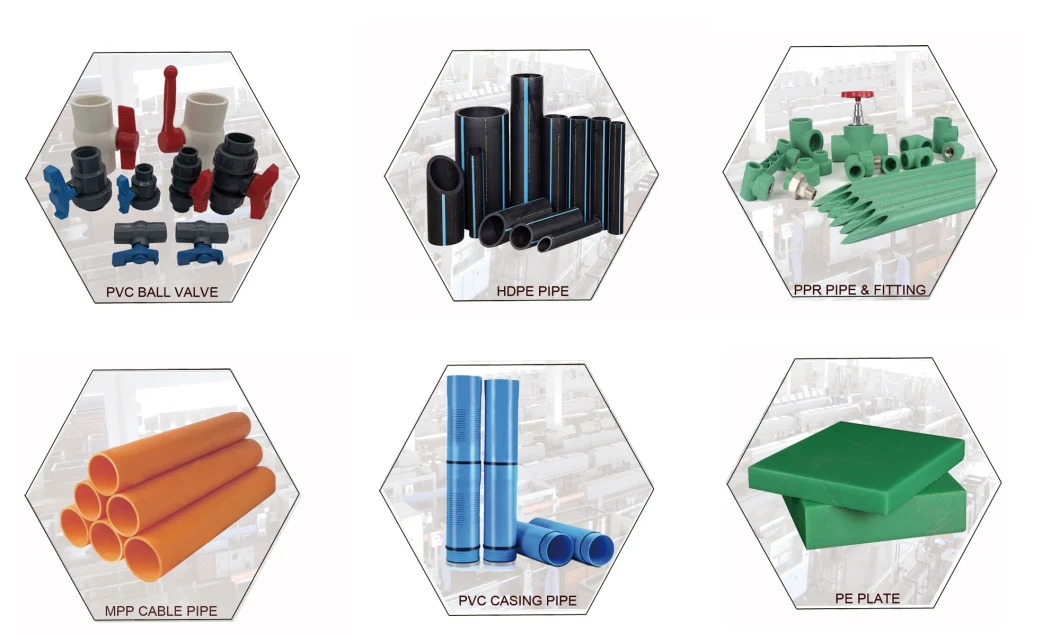 PPR Pipe Fittings Parts PPR for Potable Water