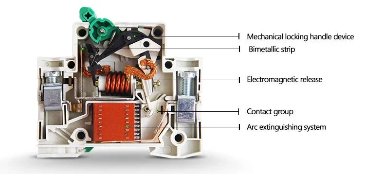 Suntree AC Breaker Single Phase 230V, 3 Phase 400V, 6 to 63A Miniature Circuit Breaker