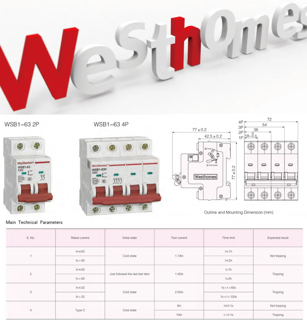 Sm1 MCCB 100A 3pole Moulded Case Circuit Breaker Ls MCCB 3pole 100 AMP Abe103b 3p 100A